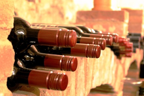 Vendemmia 2021, riflettori puntati sul progetto vino bio Calabria